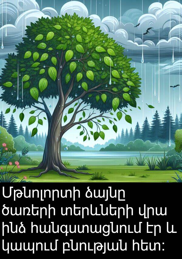 բնության: Մթնոլորտի ձայնը ծառերի տերևների վրա ինձ հանգստացնում էր և կապում բնության հետ: