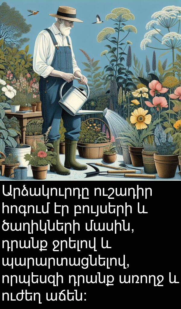 դրանք: Արձակուրդը ուշադիր հոգում էր բույսերի և ծաղիկների մասին, դրանք ջրելով և պարարտացնելով, որպեսզի դրանք առողջ և ուժեղ աճեն: