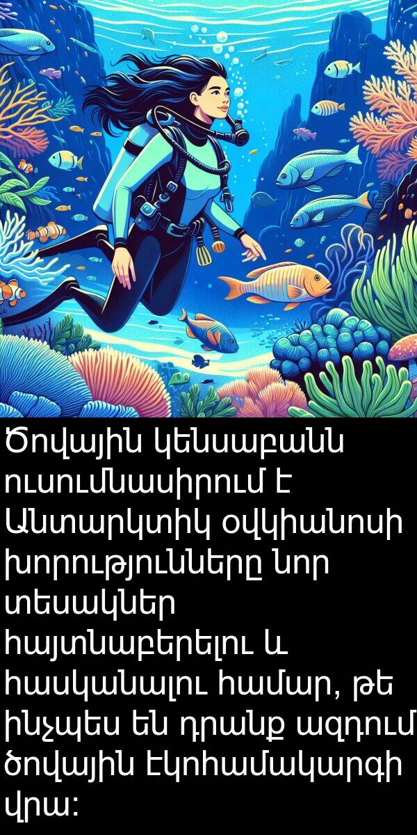 դրանք: Ծովային կենսաբանն ուսումնասիրում է Անտարկտիկ օվկիանոսի խորությունները նոր տեսակներ հայտնաբերելու և հասկանալու համար, թե ինչպես են դրանք ազդում ծովային էկոհամակարգի վրա: