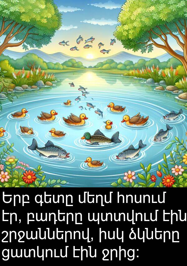 ձկները: Երբ գետը մեղմ հոսում էր, բադերը պտտվում էին շրջաններով, իսկ ձկները ցատկում էին ջրից։