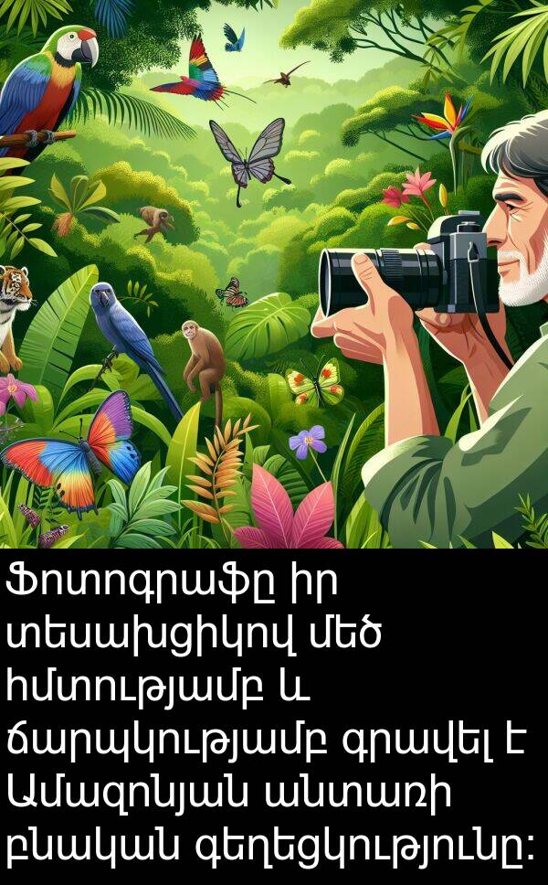 բնական: Ֆոտոգրաֆը իր տեսախցիկով մեծ հմտությամբ և ճարպկությամբ գրավել է Ամազոնյան անտառի բնական գեղեցկությունը:
