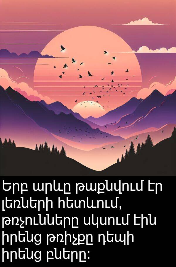 բները։: Երբ արևը թաքնվում էր լեռների հետևում, թռչունները սկսում էին իրենց թռիչքը դեպի իրենց բները։