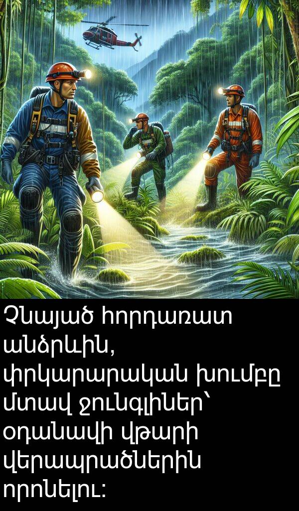 որոնելու։: Չնայած հորդառատ անձրևին, փրկարարական խումբը մտավ ջունգլիներ՝ օդանավի վթարի վերապրածներին որոնելու։