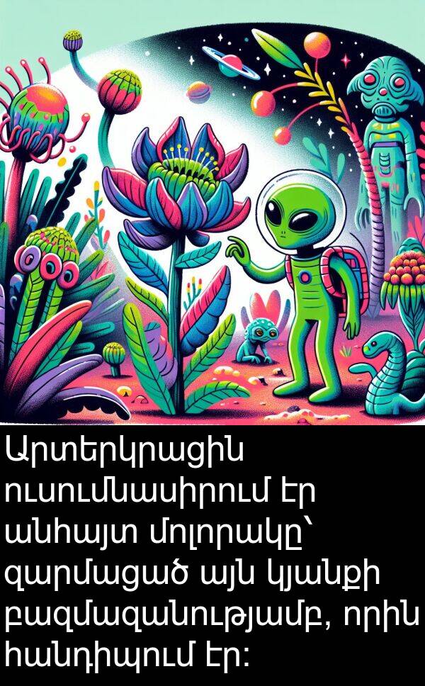 բազմազանությամբ: Արտերկրացին ուսումնասիրում էր անհայտ մոլորակը՝ զարմացած այն կյանքի բազմազանությամբ, որին հանդիպում էր։