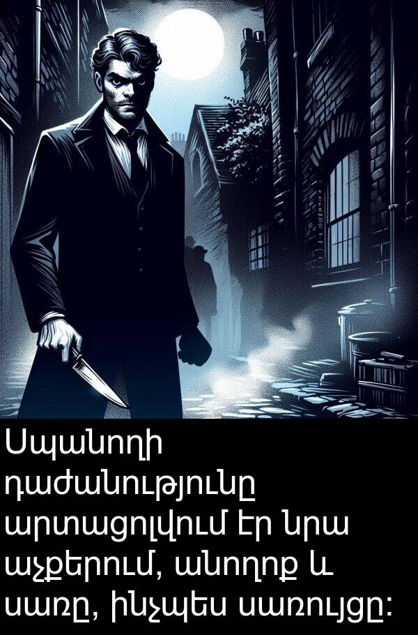ինչպես: Սպանողի դաժանությունը արտացոլվում էր նրա աչքերում, անողոք և սառը, ինչպես սառույցը։