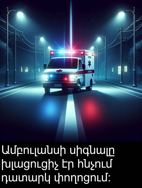 փողոցում: Ամբուլանսի սիգնալը խլացուցիչ էր հնչում դատարկ փողոցում: