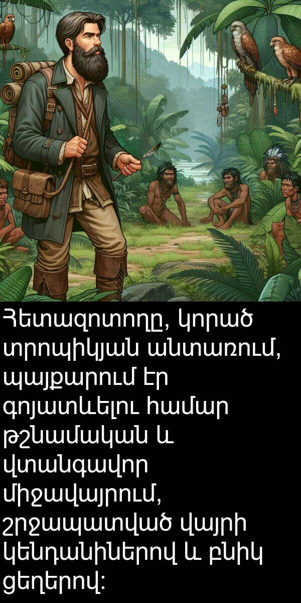 բնիկ: Հետազոտողը, կորած տրոպիկյան անտառում, պայքարում էր գոյատևելու համար թշնամական և վտանգավոր միջավայրում, շրջապատված վայրի կենդանիներով և բնիկ ցեղերով: