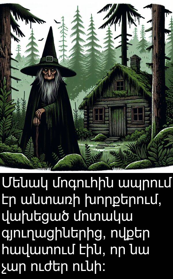 վախեցած: Մենակ մոգուհին ապրում էր անտառի խորքերում, վախեցած մոտակա գյուղացիներից, ովքեր հավատում էին, որ նա չար ուժեր ունի:
