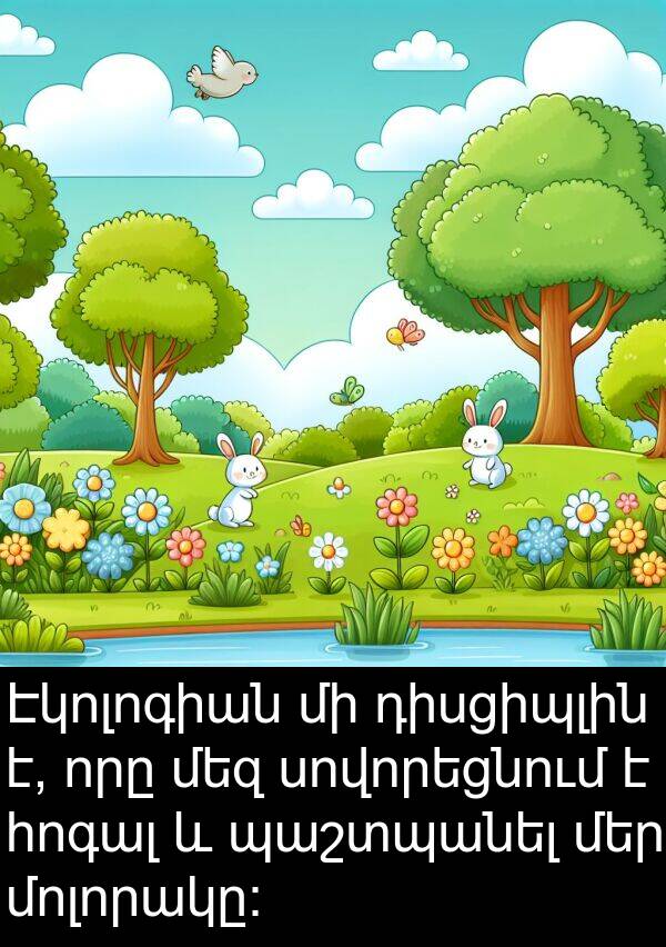 դիսցիպլին: Էկոլոգիան մի դիսցիպլին է, որը մեզ սովորեցնում է հոգալ և պաշտպանել մեր մոլորակը: