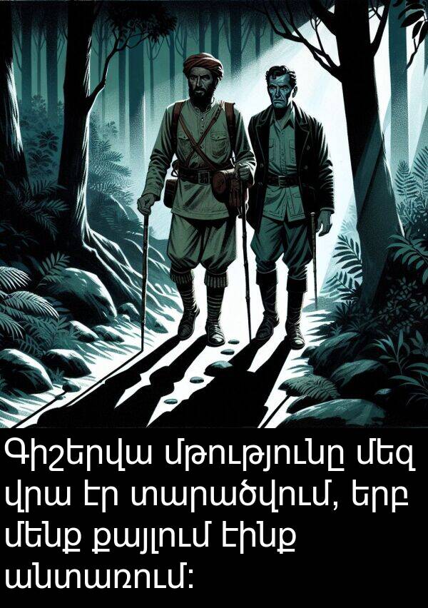 էինք: Գիշերվա մթությունը մեզ վրա էր տարածվում, երբ մենք քայլում էինք անտառում: