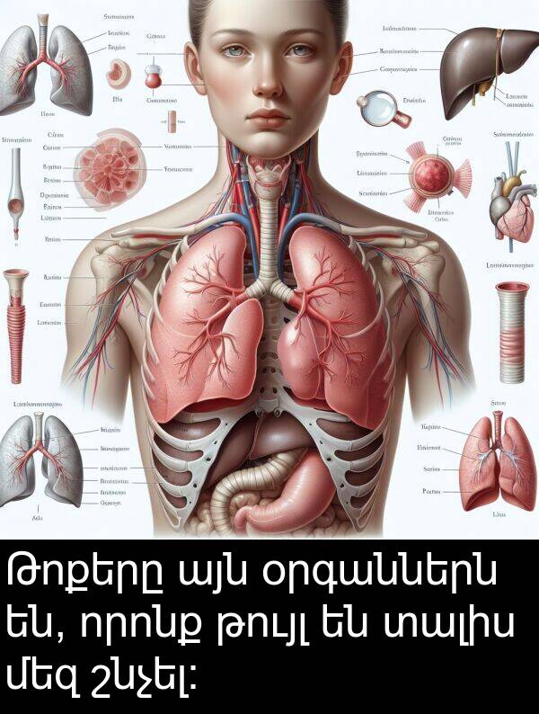 օրգաններն: Թոքերը այն օրգաններն են, որոնք թույլ են տալիս մեզ շնչել: