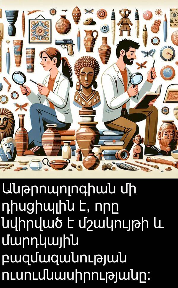 դիսցիպլին: Անթրոպոլոգիան մի դիսցիպլին է, որը նվիրված է մշակույթի և մարդկային բազմազանության ուսումնասիրությանը: