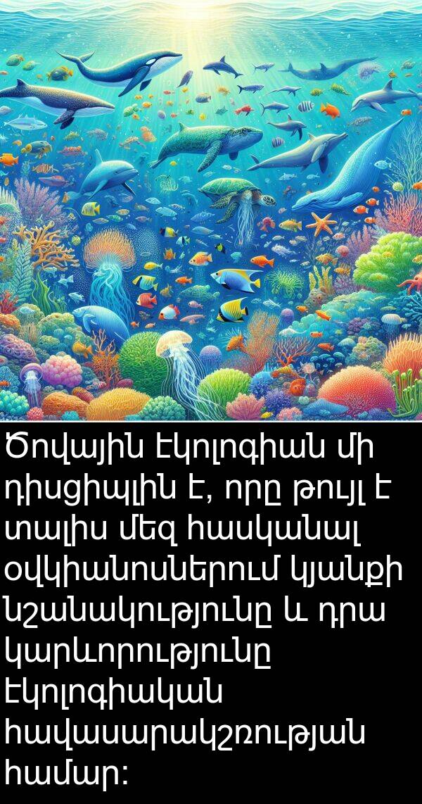 դիսցիպլին: Ծովային էկոլոգիան մի դիսցիպլին է, որը թույլ է տալիս մեզ հասկանալ օվկիանոսներում կյանքի նշանակությունը և դրա կարևորությունը էկոլոգիական հավասարակշռության համար: