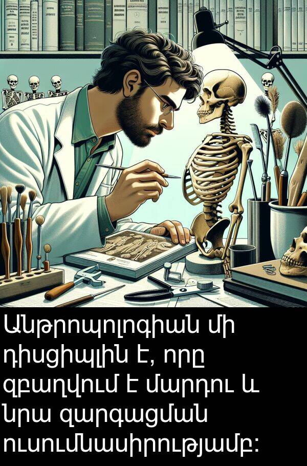 դիսցիպլին: Անթրոպոլոգիան մի դիսցիպլին է, որը զբաղվում է մարդու և նրա զարգացման ուսումնասիրությամբ: