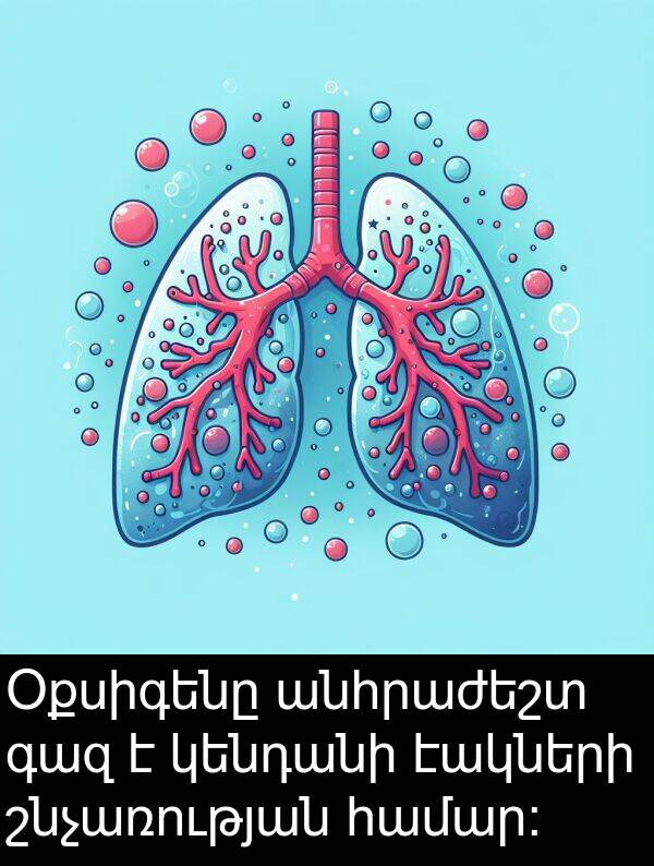 էակների: Օքսիգենը անհրաժեշտ գազ է կենդանի էակների շնչառության համար: