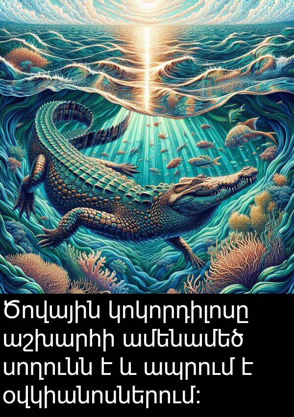 օվկիանոսներում: Ծովային կոկորդիլոսը աշխարհի ամենամեծ սողունն է և ապրում է օվկիանոսներում: