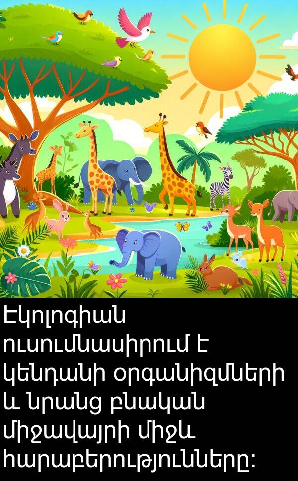 բնական: Էկոլոգիան ուսումնասիրում է կենդանի օրգանիզմների և նրանց բնական միջավայրի միջև հարաբերությունները: