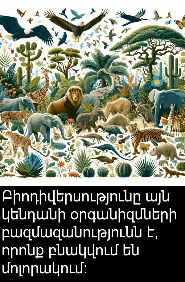 բնակվում: Բիոդիվերսությունը այն կենդանի օրգանիզմների բազմազանությունն է, որոնք բնակվում են մոլորակում: