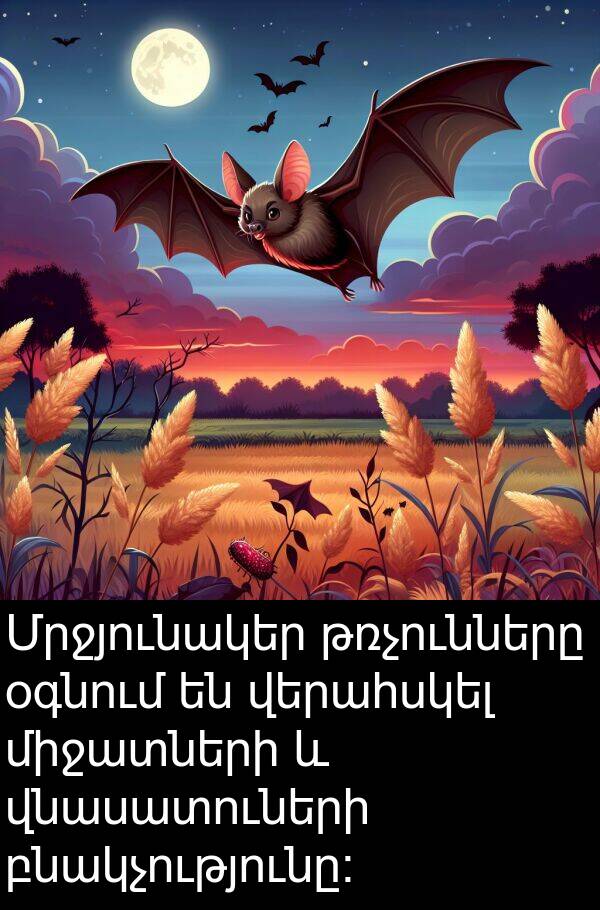 բնակչությունը։: Մրջյունակեր թռչունները օգնում են վերահսկել միջատների և վնասատուների բնակչությունը։
