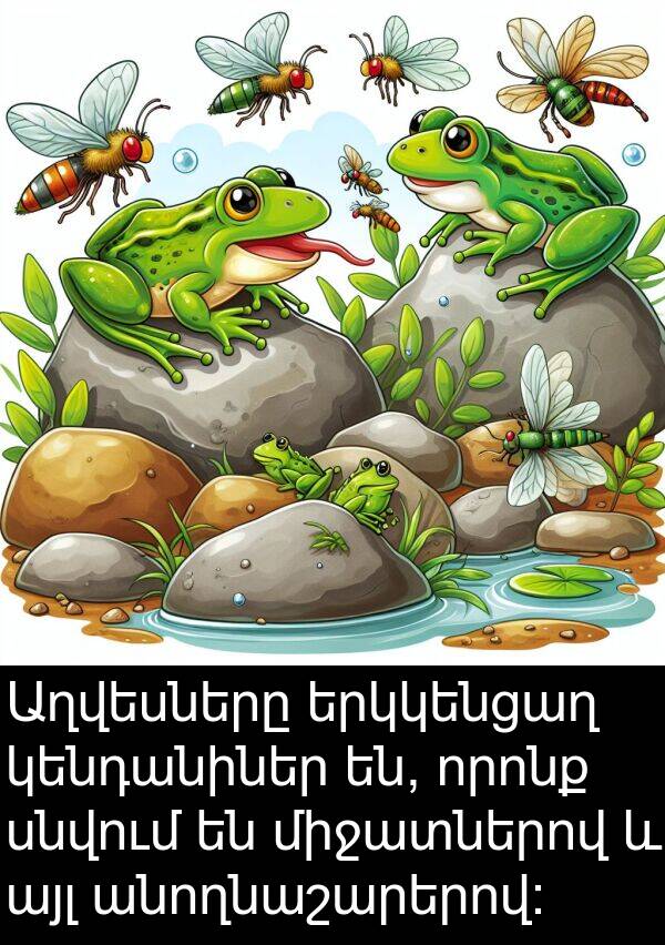 կենդանիներ: Աղվեսները երկկենցաղ կենդանիներ են, որոնք սնվում են միջատներով և այլ անողնաշարերով: