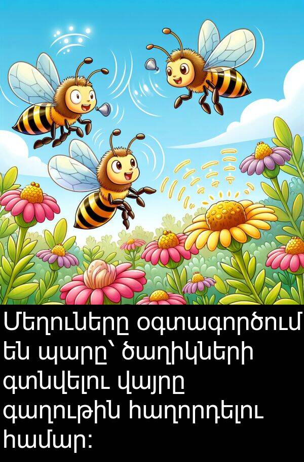 գտնվելու: Մեղուները օգտագործում են պարը՝ ծաղիկների գտնվելու վայրը գաղութին հաղորդելու համար։
