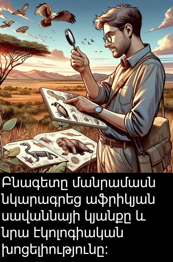 նկարագրեց: Բնագետը մանրամասն նկարագրեց աֆրիկյան սավաննայի կյանքը և նրա էկոլոգիական խոցելիությունը: