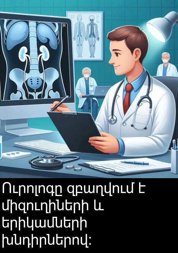 երիկամների: Ուրոլոգը զբաղվում է միզուղիների և երիկամների խնդիրներով: