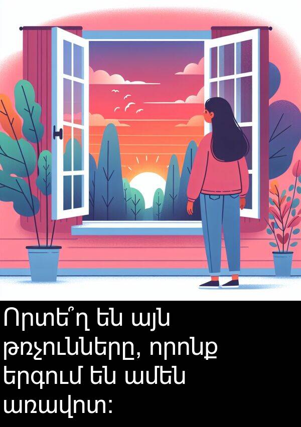 որոնք: Որտե՞ղ են այն թռչունները, որոնք երգում են ամեն առավոտ։