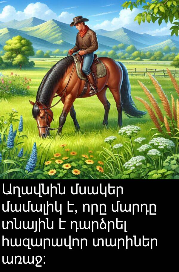 տարիներ: Աղավնին մսակեր մամալիկ է, որը մարդը տնային է դարձրել հազարավոր տարիներ առաջ: