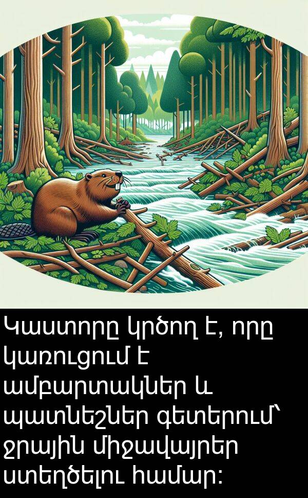 պատնեշներ: Կաստորը կրծող է, որը կառուցում է ամբարտակներ և պատնեշներ գետերում՝ ջրային միջավայրեր ստեղծելու համար։