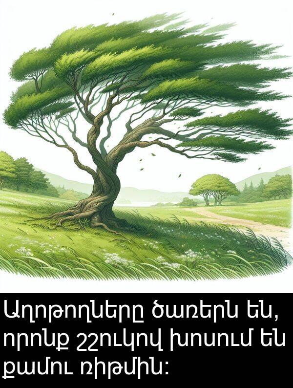 շշուկով: Աղոթողները ծառերն են, որոնք շշուկով խոսում են քամու ռիթմին: