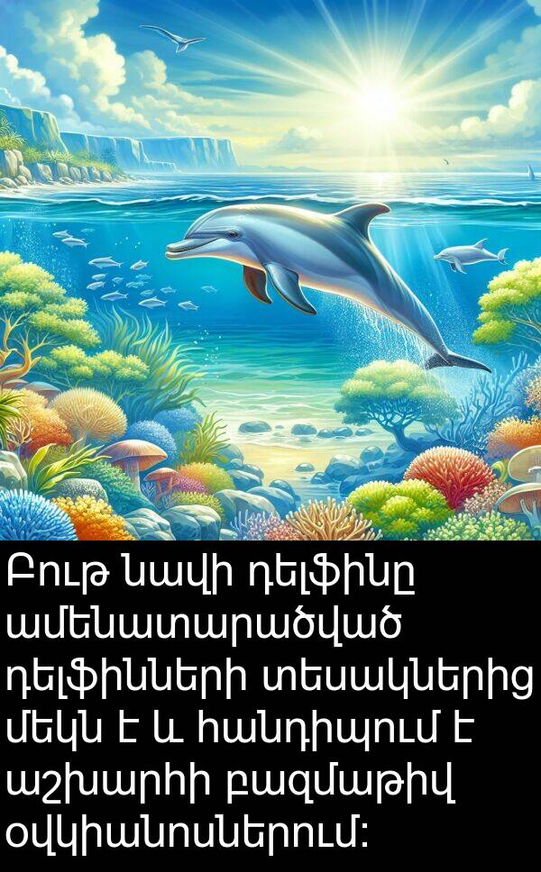 օվկիանոսներում: Բութ նավի դելֆինը ամենատարածված դելֆինների տեսակներից մեկն է և հանդիպում է աշխարհի բազմաթիվ օվկիանոսներում: