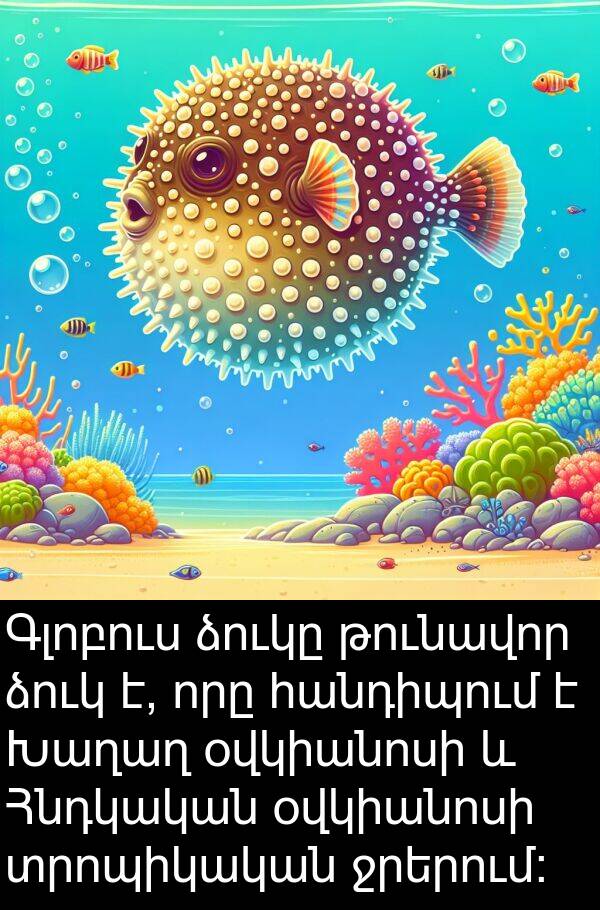 ձուկը: Գլոբուս ձուկը թունավոր ձուկ է, որը հանդիպում է Խաղաղ օվկիանոսի և Հնդկական օվկիանոսի տրոպիկական ջրերում: