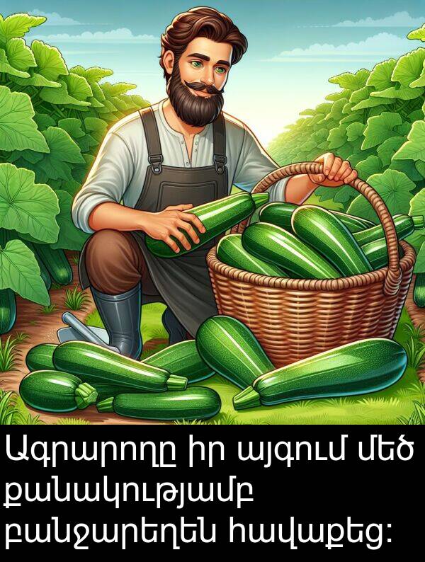 քանակությամբ: Ագրարողը իր այգում մեծ քանակությամբ բանջարեղեն հավաքեց: