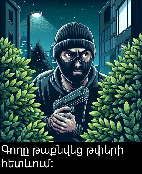 թաքնվեց: Գողը թաքնվեց թփերի հետևում: