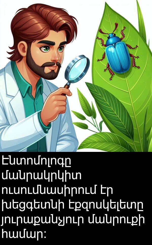 յուրաքանչյուր: Էնտոմոլոգը մանրակրկիտ ուսումնասիրում էր խեցգետնի էքզոսկելետը յուրաքանչյուր մանրուքի համար: