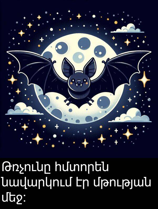 նավարկում: Թռչունը հմտորեն նավարկում էր մթության մեջ։