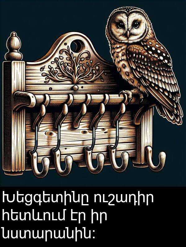 ուշադիր: Խեցգետինը ուշադիր հետևում էր իր նստարանին: