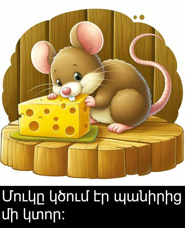 պանիրից: Մուկը կծում էր պանիրից մի կտոր։