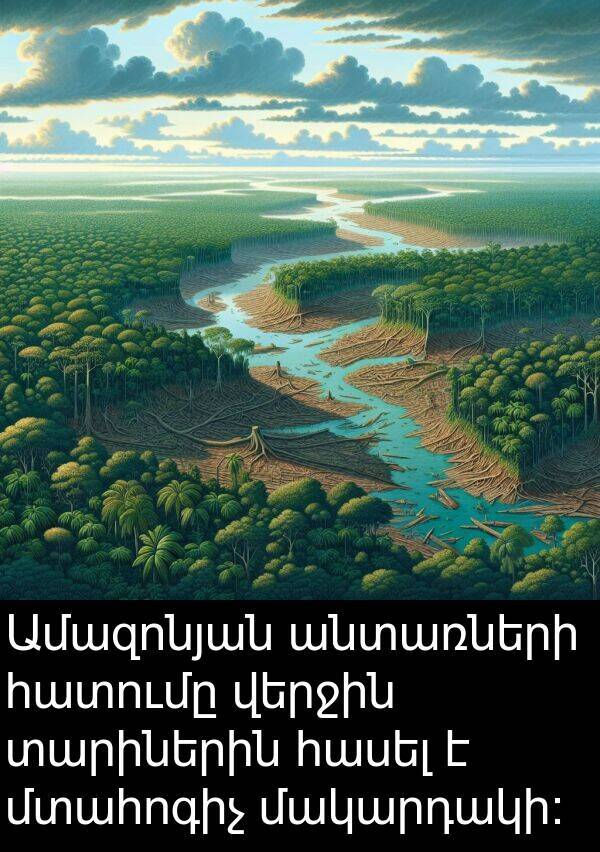 վերջին: Ամազոնյան անտառների հատումը վերջին տարիներին հասել է մտահոգիչ մակարդակի: