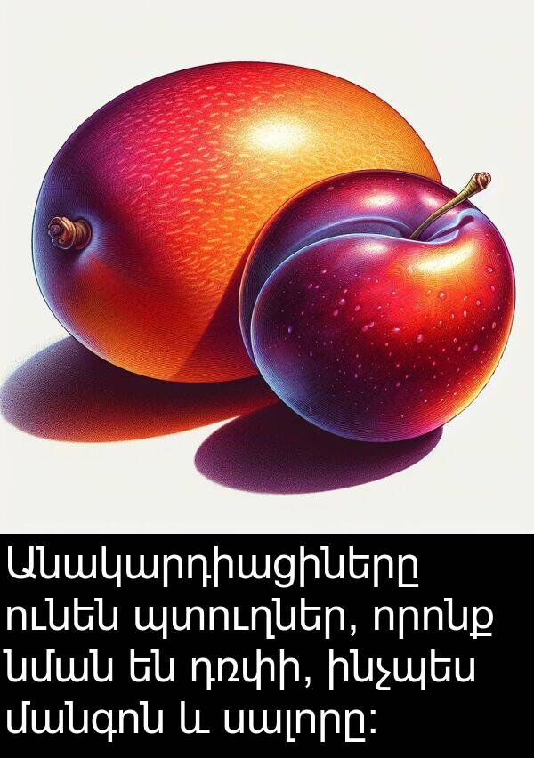որոնք: Անակարդիացիները ունեն պտուղներ, որոնք նման են դռփի, ինչպես մանգոն և սալորը: