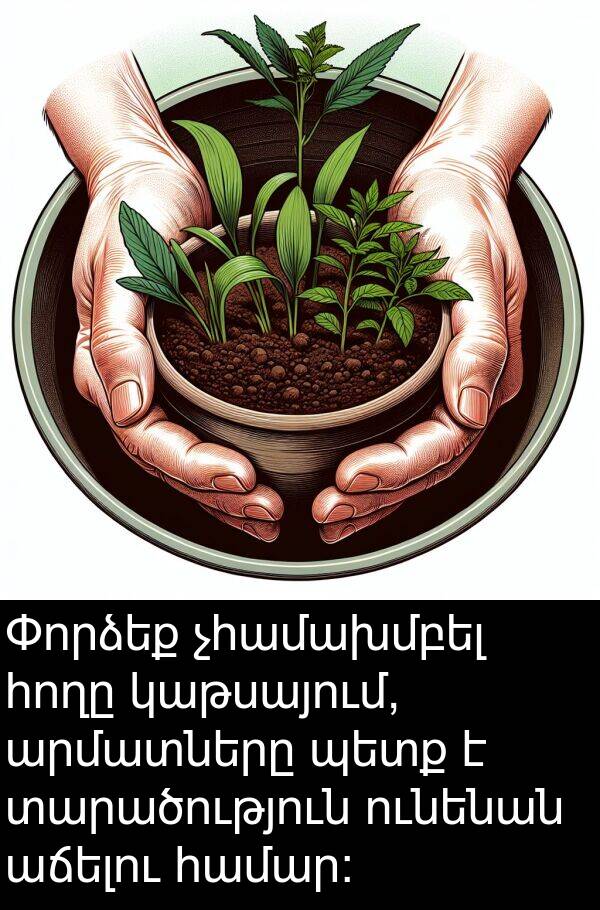 աճելու: Փորձեք չհամախմբել հողը կաթսայում, արմատները պետք է տարածություն ունենան աճելու համար: