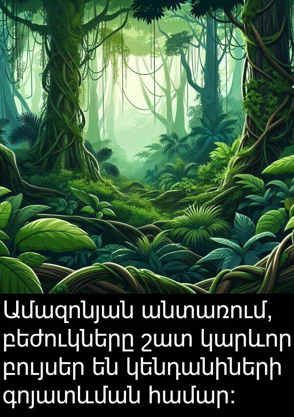 բույսեր: Ամազոնյան անտառում, բեժուկները շատ կարևոր բույսեր են կենդանիների գոյատևման համար: