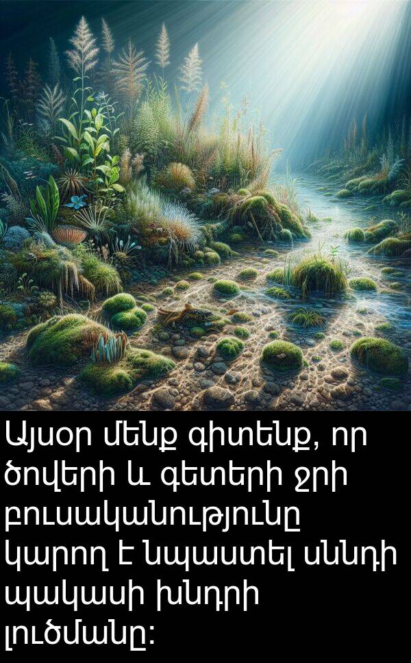բուսականությունը: Այսօր մենք գիտենք, որ ծովերի և գետերի ջրի բուսականությունը կարող է նպաստել սննդի պակասի խնդրի լուծմանը: