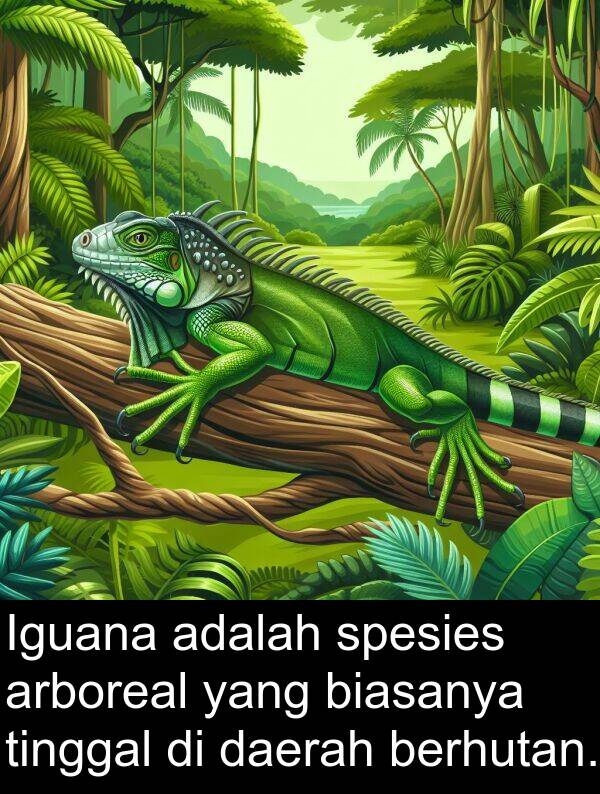 berhutan: Iguana adalah spesies arboreal yang biasanya tinggal di daerah berhutan.