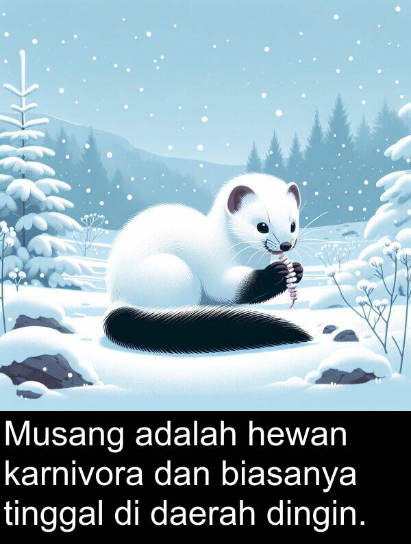 hewan: Musang adalah hewan karnivora dan biasanya tinggal di daerah dingin.