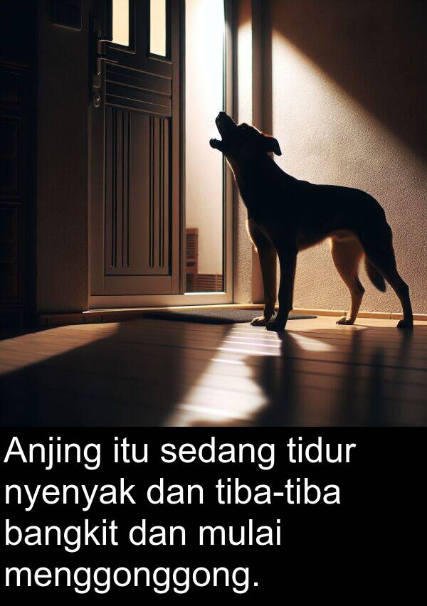 sedang: Anjing itu sedang tidur nyenyak dan tiba-tiba bangkit dan mulai menggonggong.