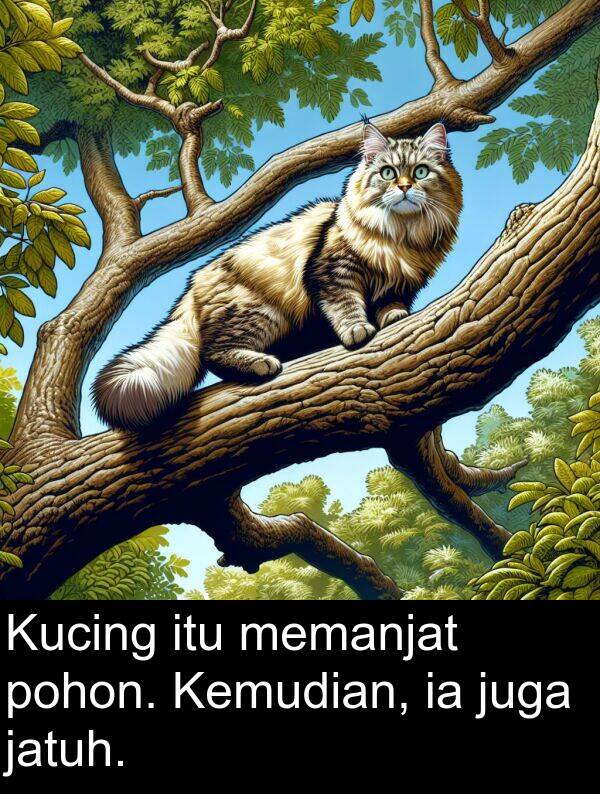memanjat: Kucing itu memanjat pohon. Kemudian, ia juga jatuh.
