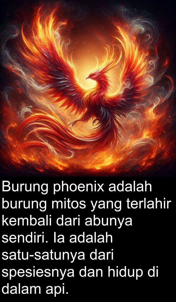 terlahir: Burung phoenix adalah burung mitos yang terlahir kembali dari abunya sendiri. Ia adalah satu-satunya dari spesiesnya dan hidup di dalam api.
