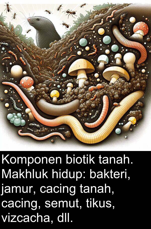 biotik: Komponen biotik tanah. Makhluk hidup: bakteri, jamur, cacing tanah, cacing, semut, tikus, vizcacha, dll.